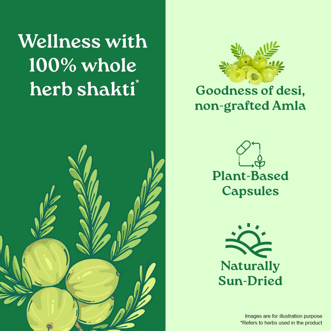 Amalaki with Vitamin C - Image 7