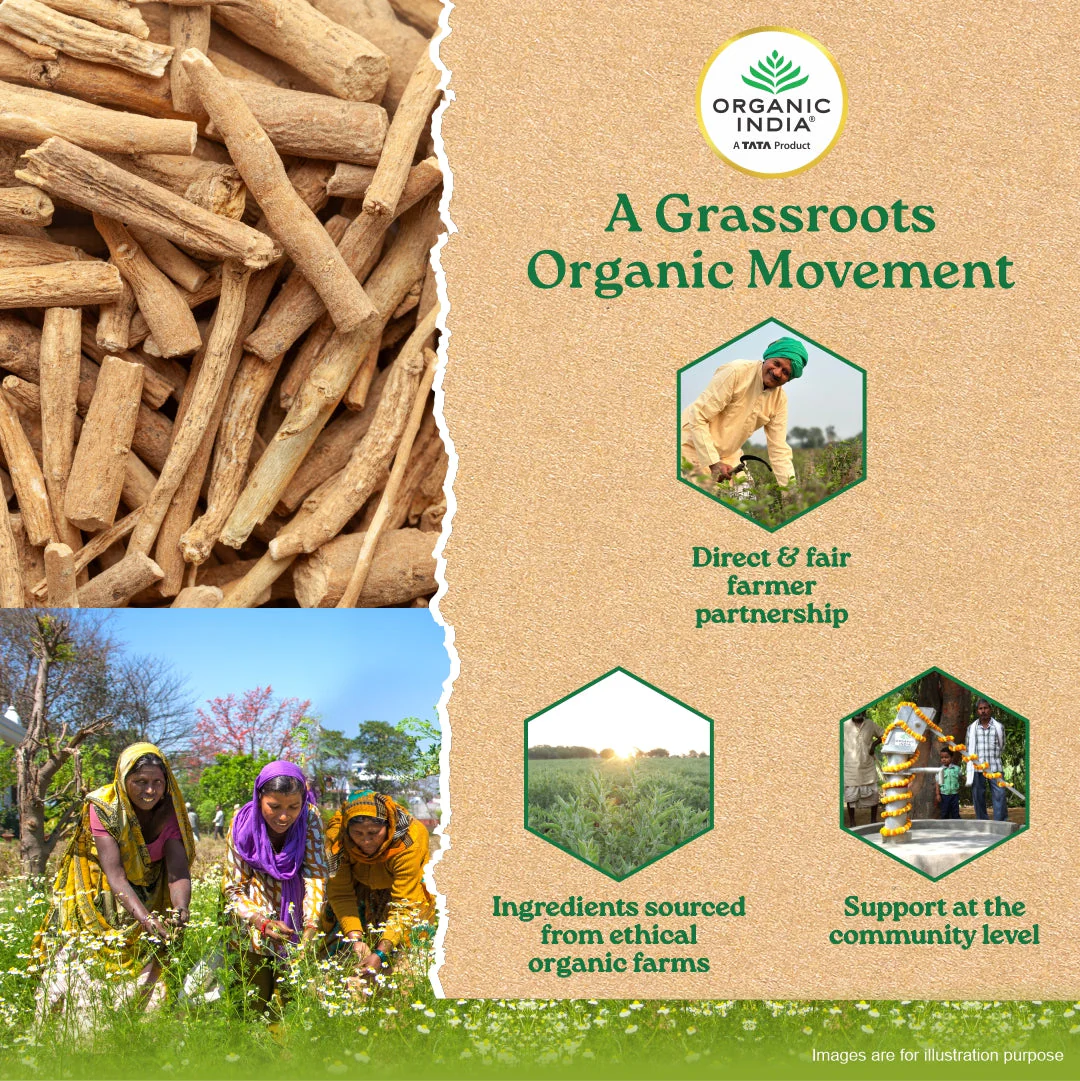 Ashwagandha Capsules - Image 13