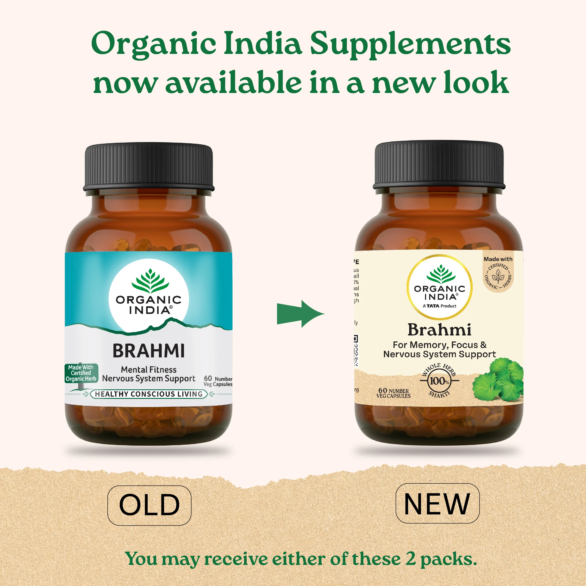 Brahmi Capsules - Image 15