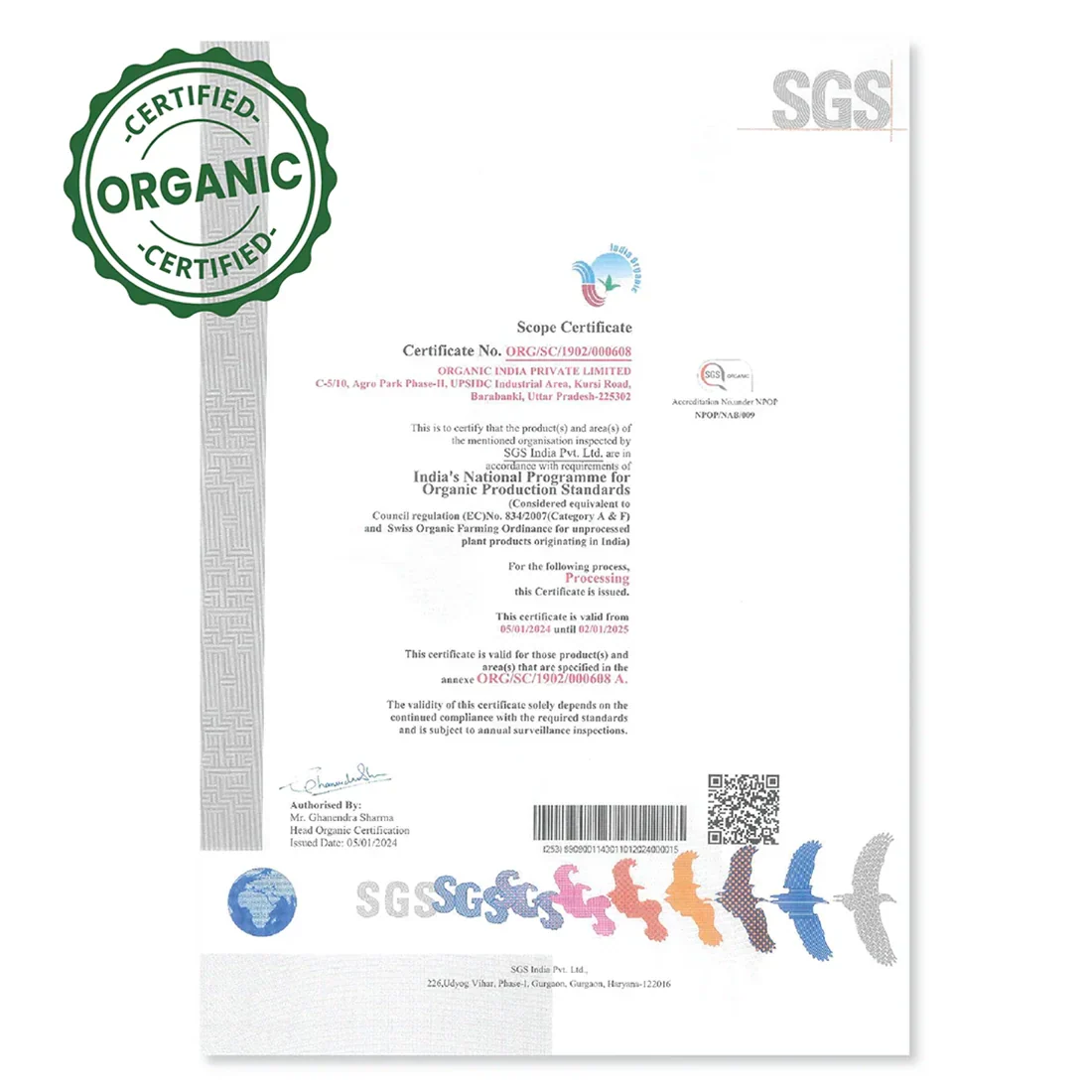 Virgin Coconut Oil - Image 7