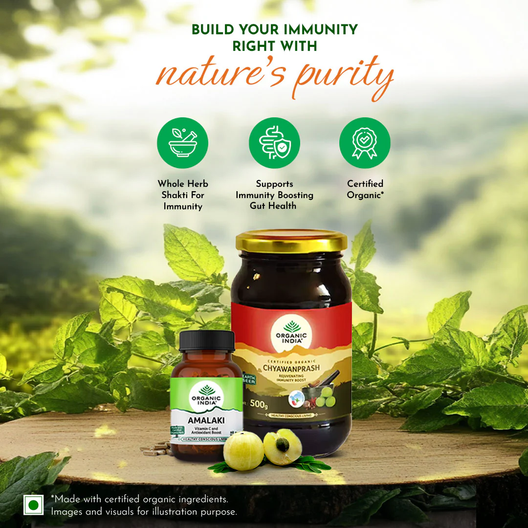 Chyawanprash & Amalaki capsules Combo - Image 4
