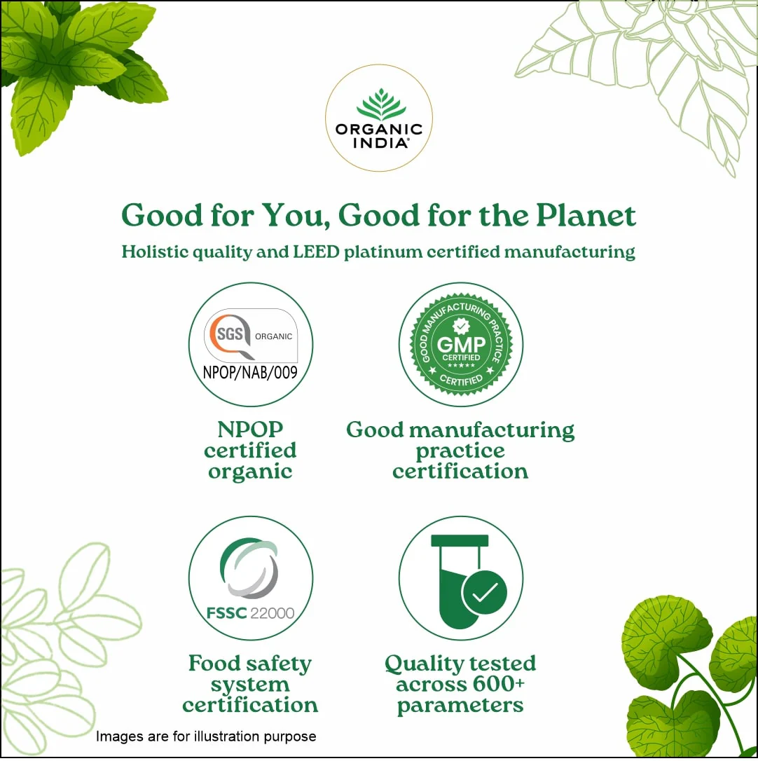 Combo Green Tea Lemon Ginger & Moringa Powder - Image 12