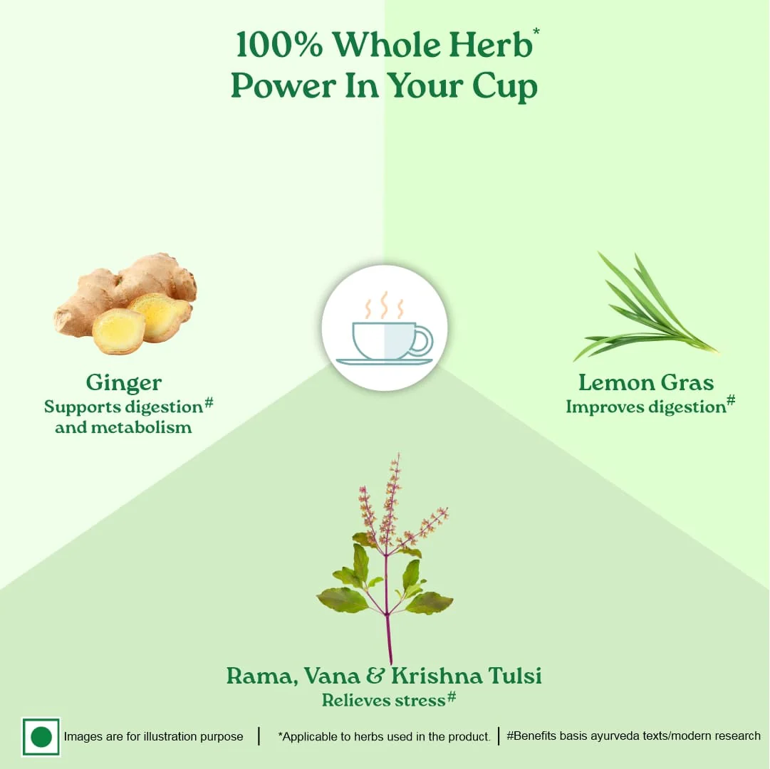 Combo Green Tea Lemon Ginger & Moringa Powder - Image 13