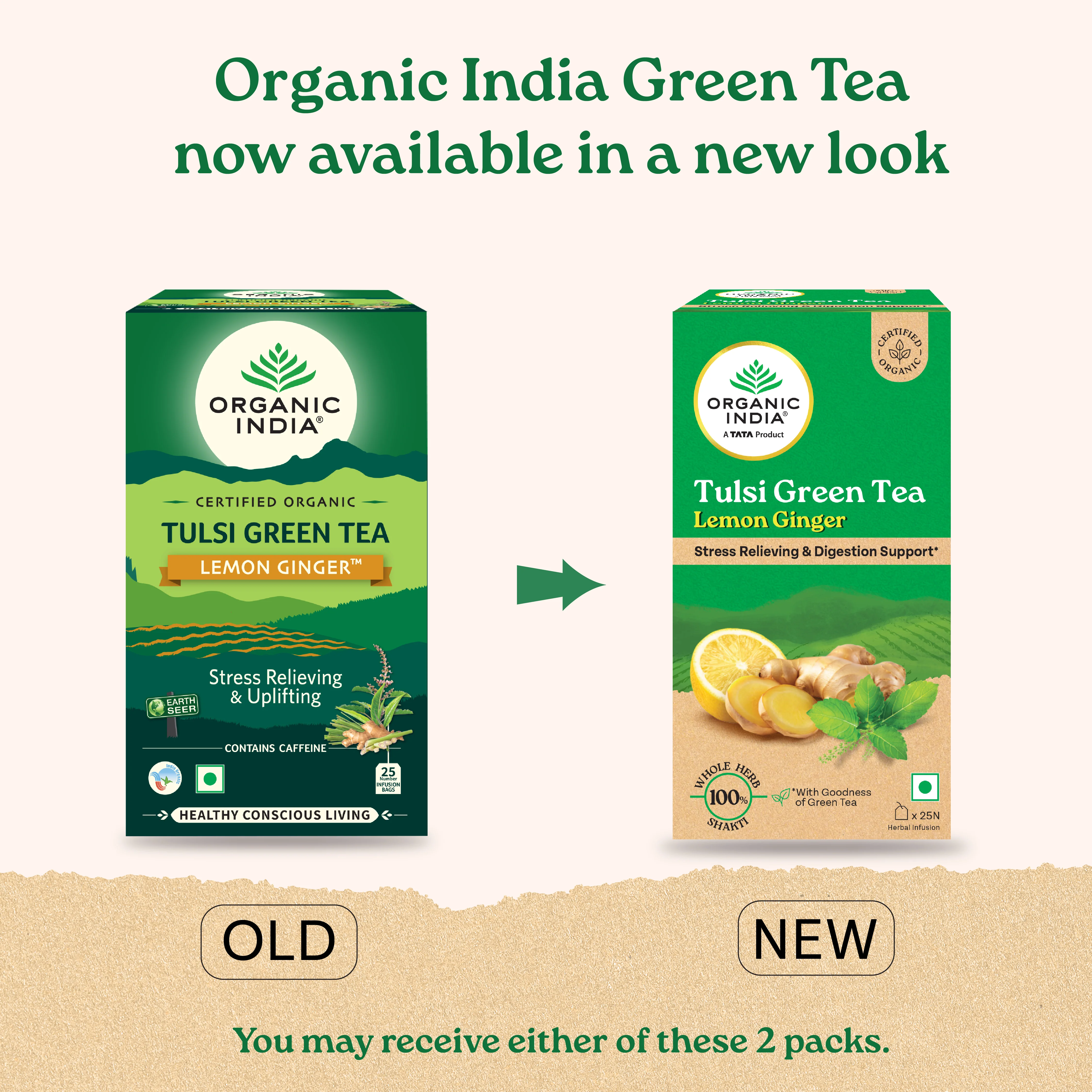 Combo Green Tea Lemon Ginger & Moringa Powder - Image 4