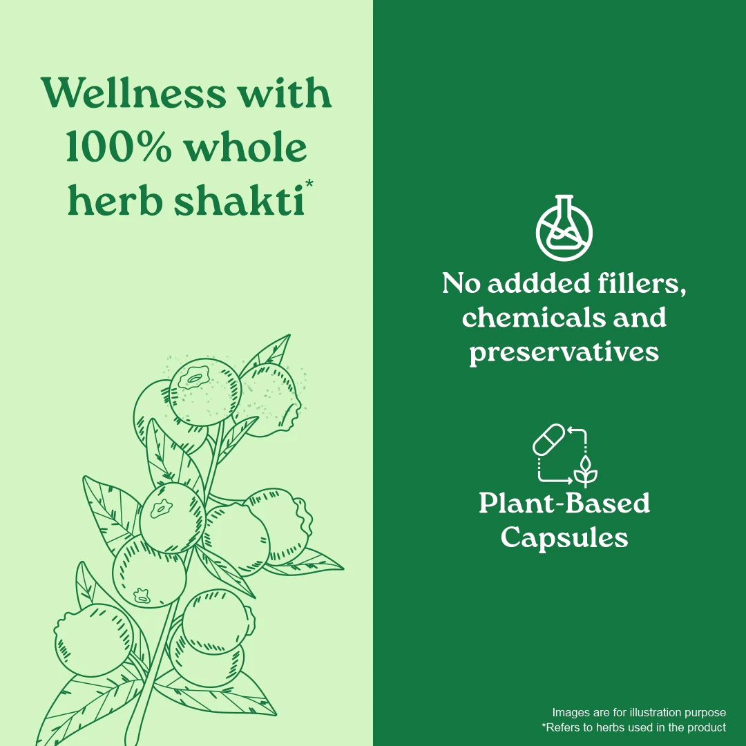 Garcinia Cambogia Capsules - Image 14