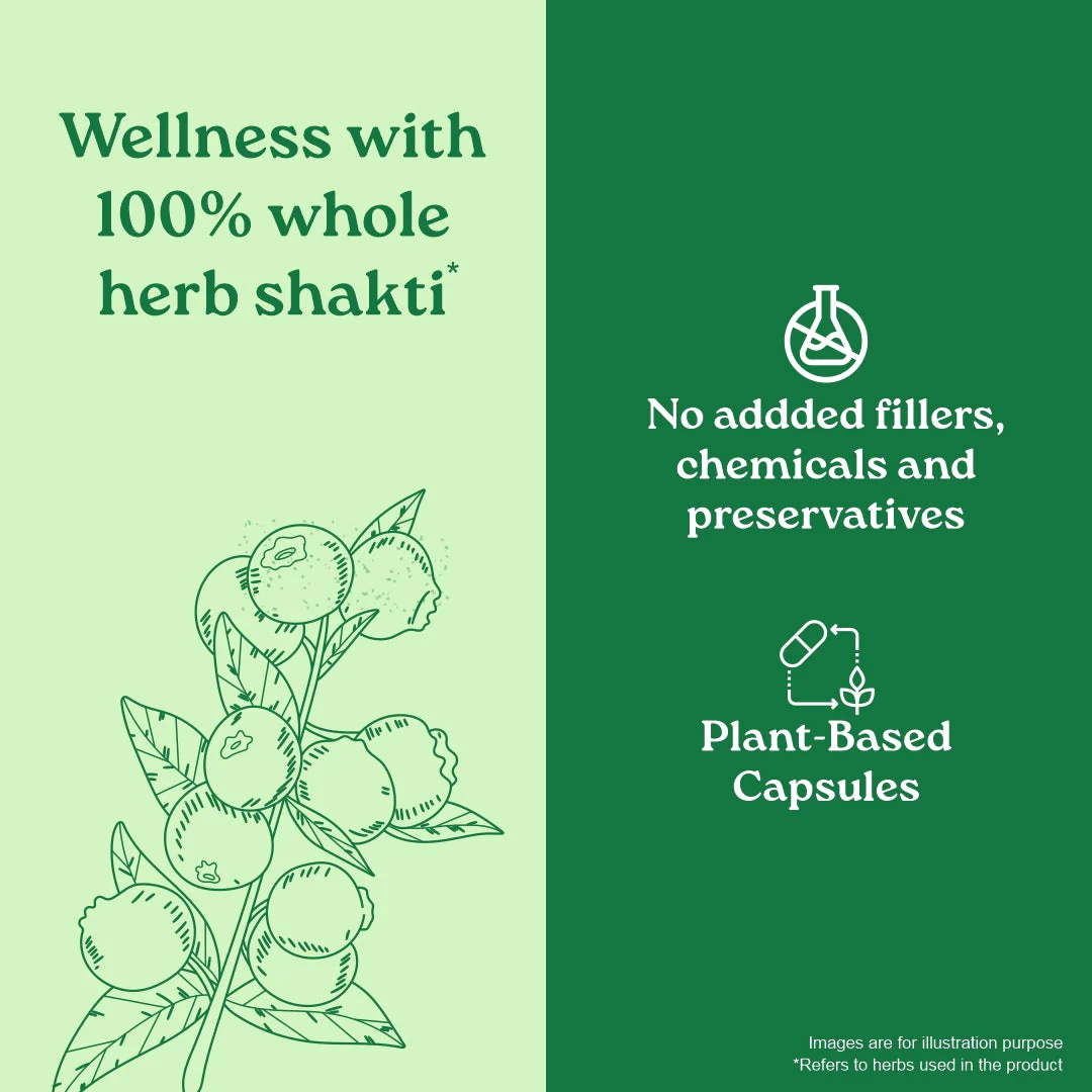 Garcinia Cambogia Capsules - Image 5