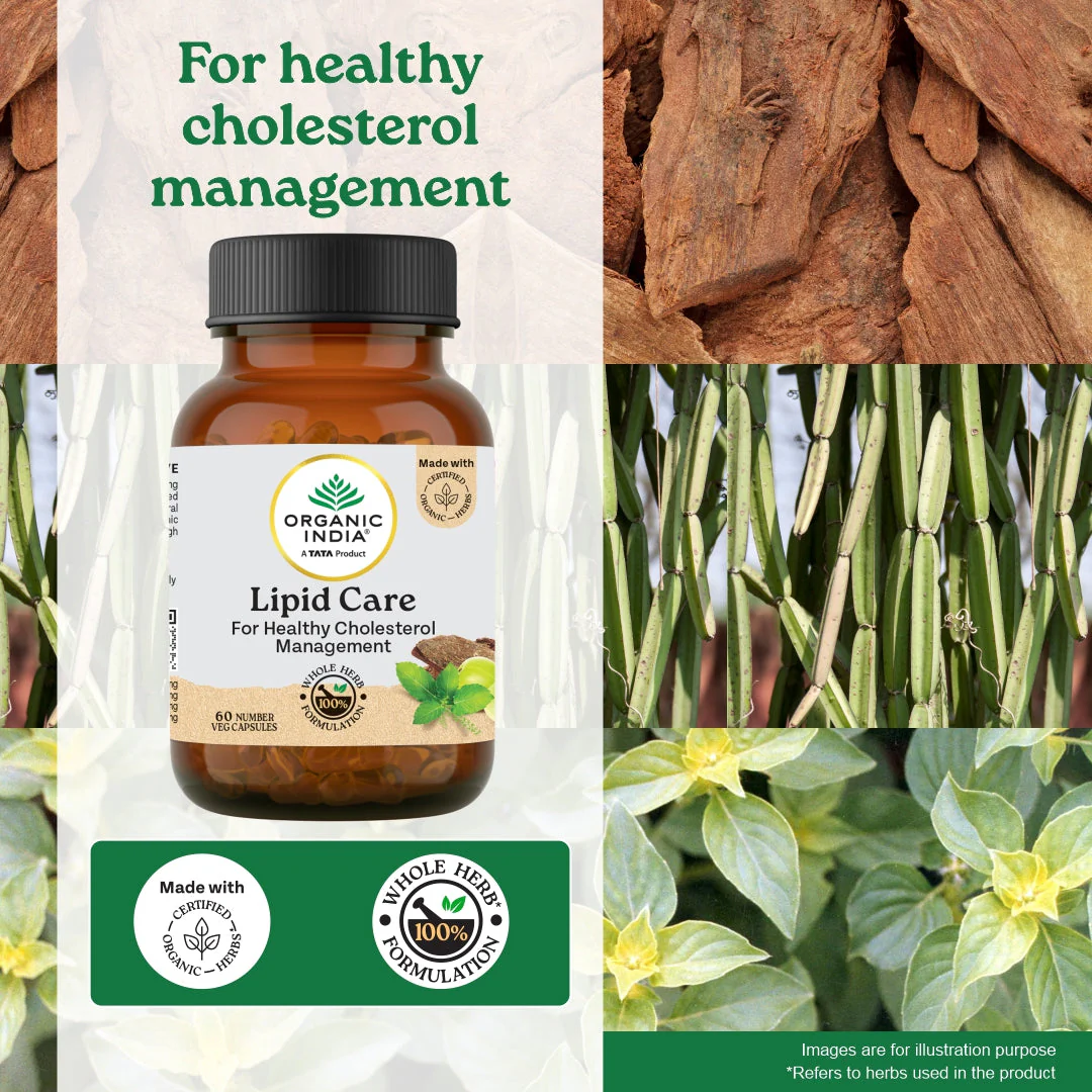 Lipid Care Capsules - Image 5