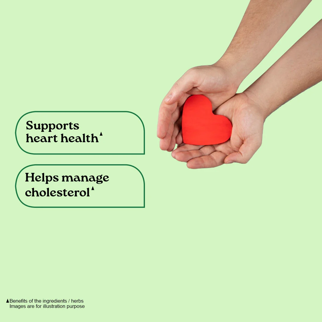 Lipid Care Capsules - Image 6