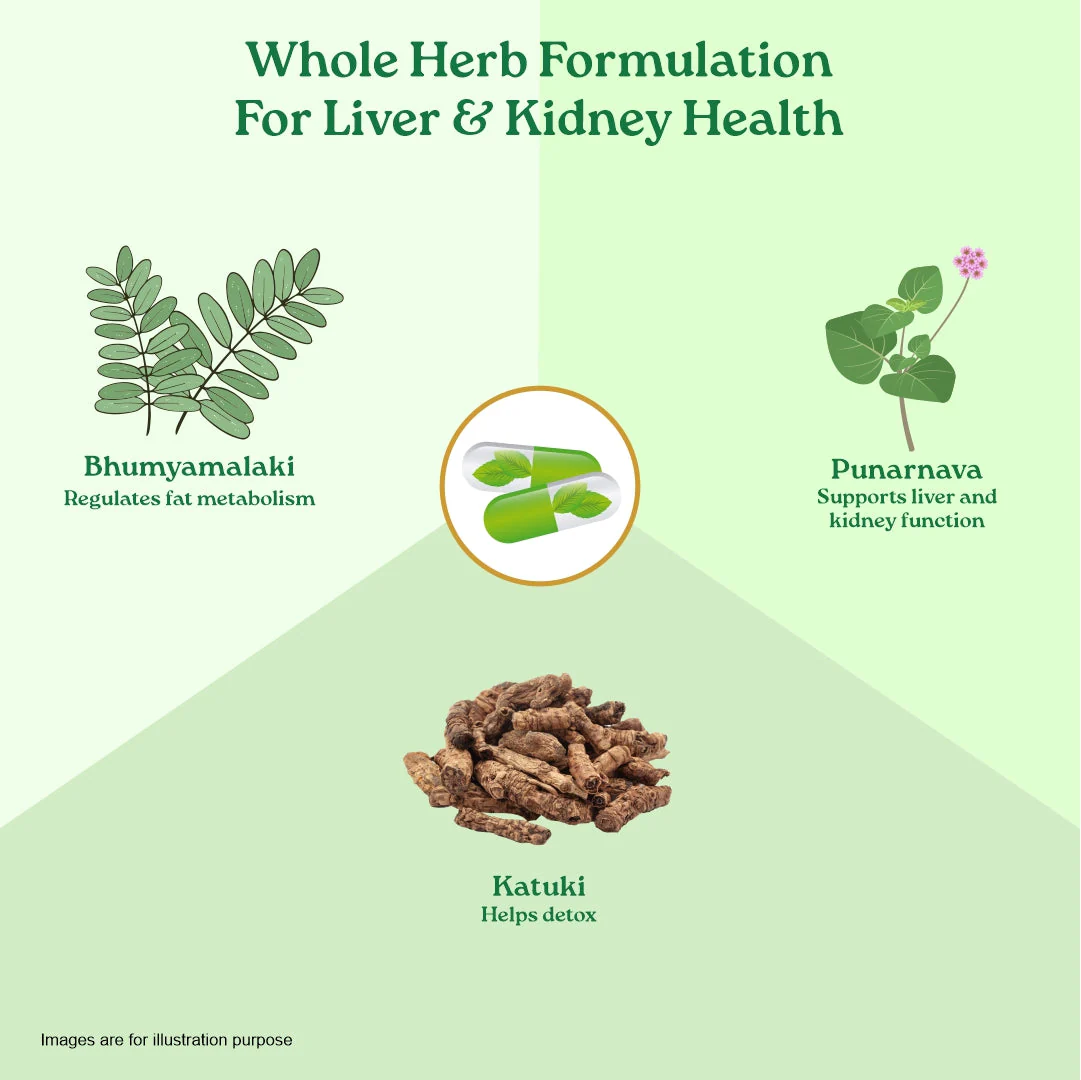Liver Kidney Care - Image 10