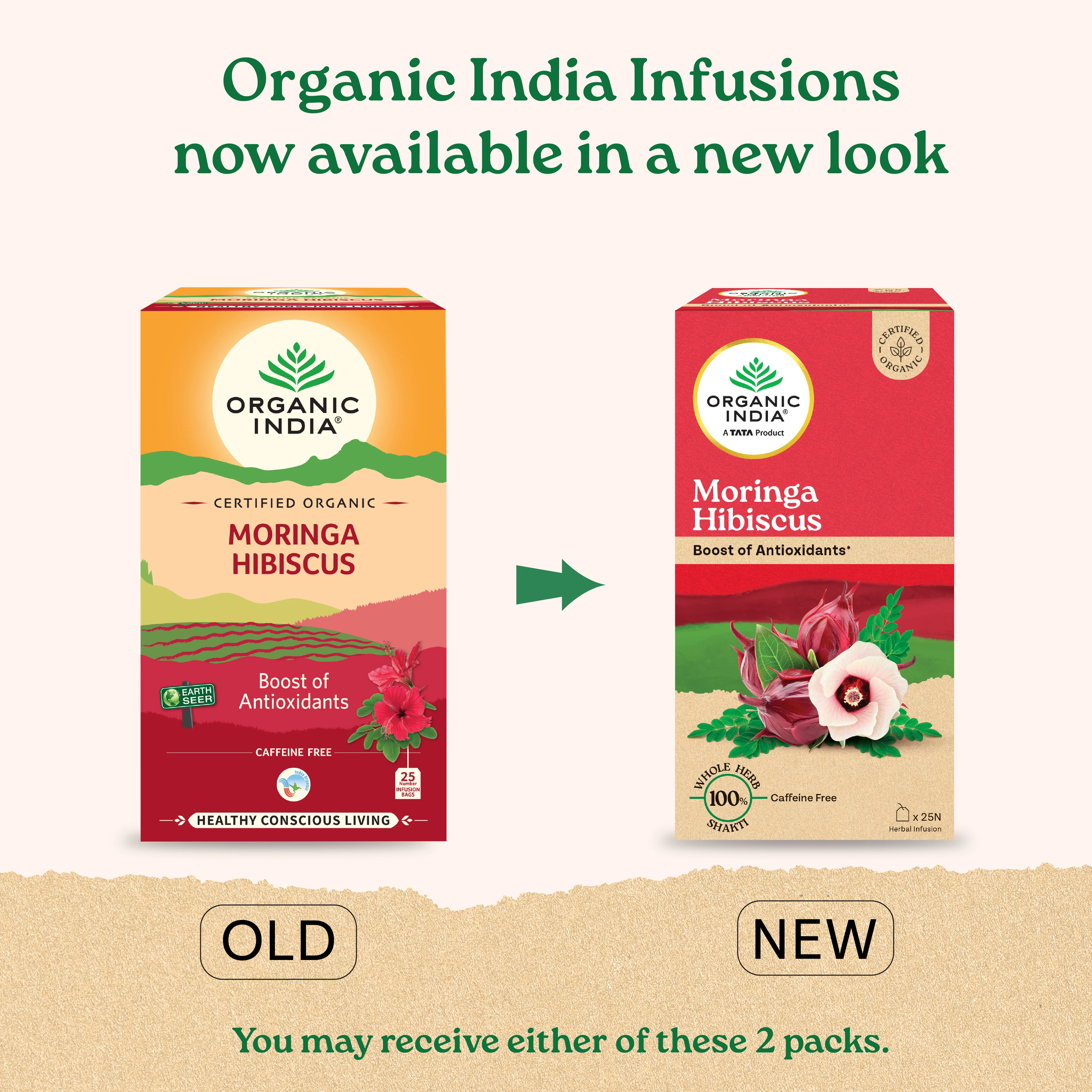 Moringa (Powder + Moringa Hibiscus Tea) Combo - Image 4