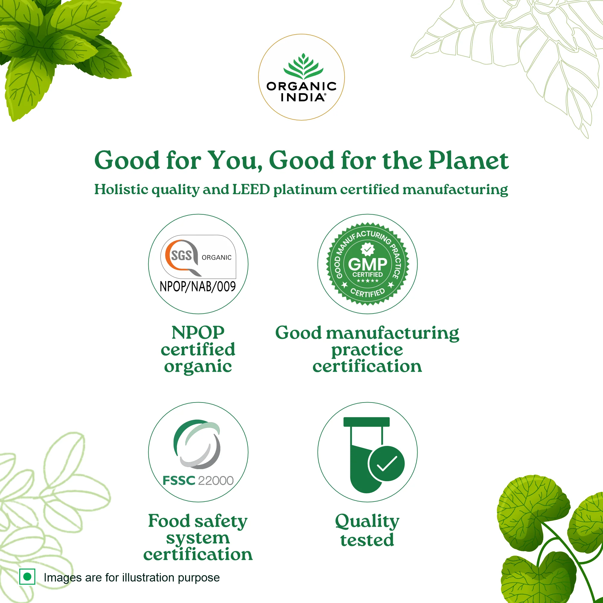 Moringa (Powder + Moringa Hibiscus Tea) Combo - Image 7
