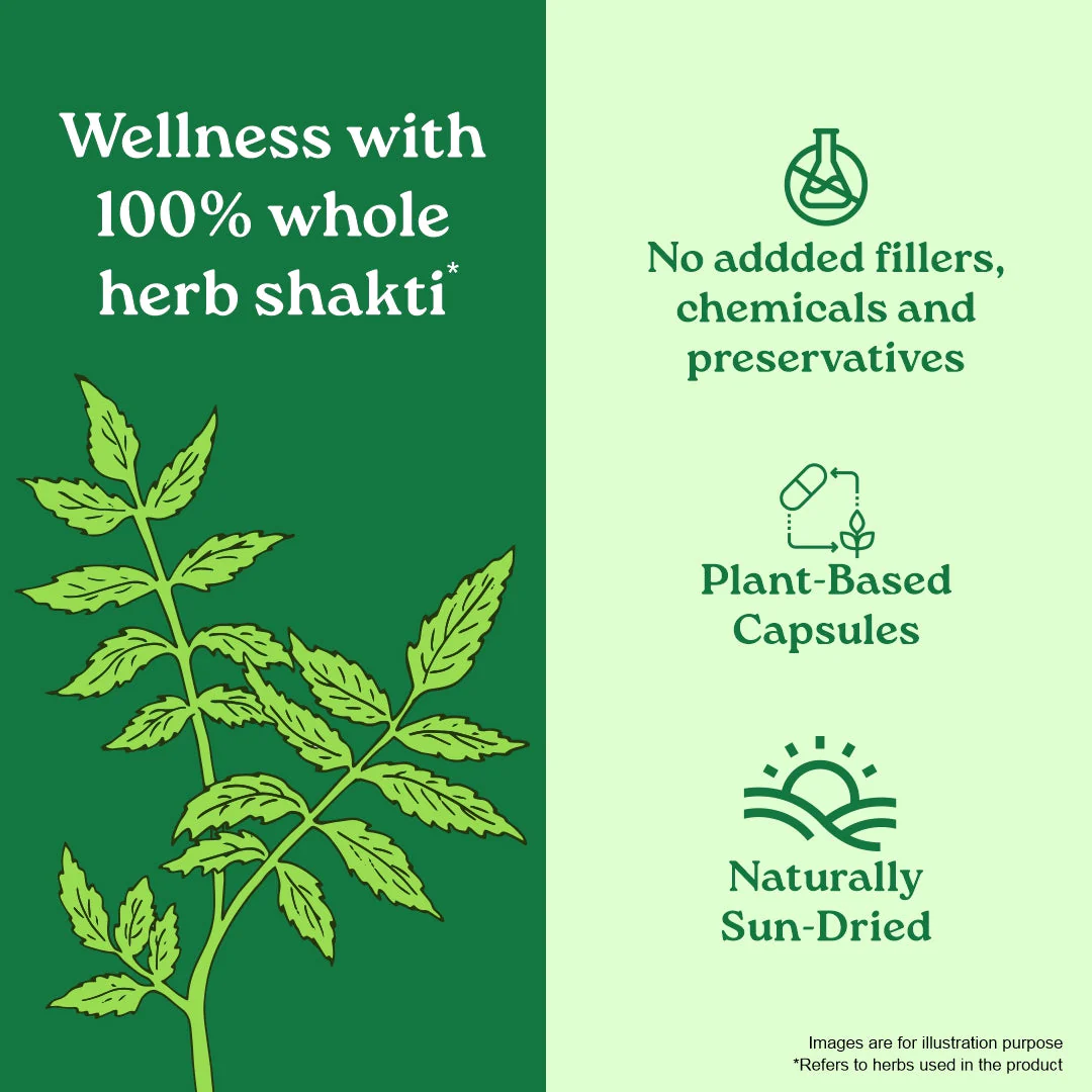 Neem Capsules - Image 8