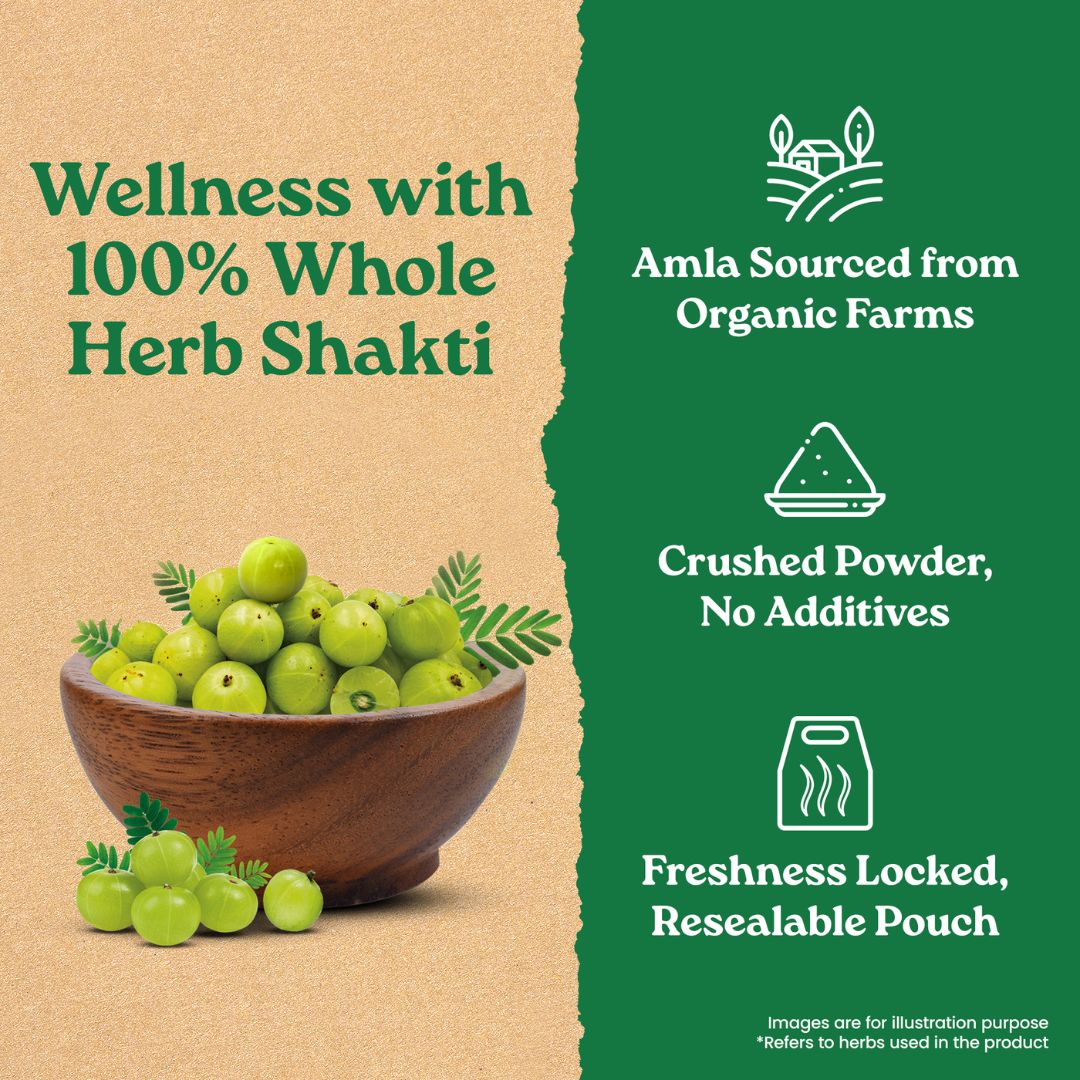 Organic Amla Powder - Image 6