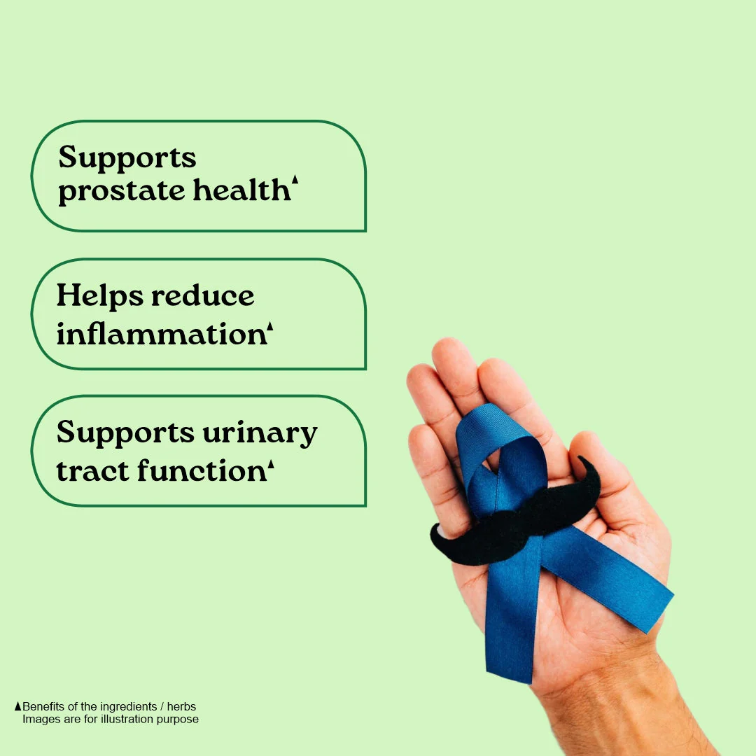 Prostate Care Capsules - Image 6