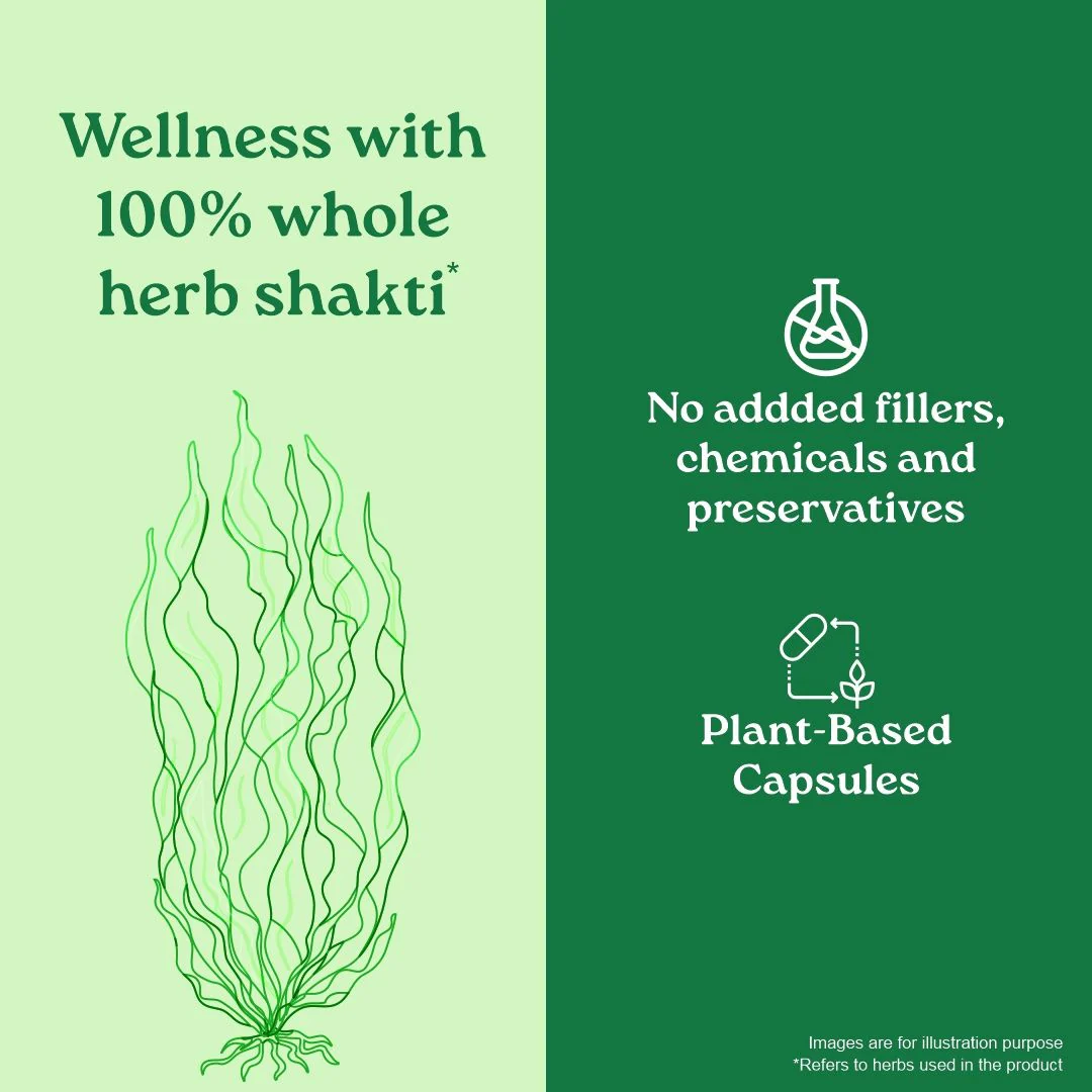 Spirulina Tablets - Image 17