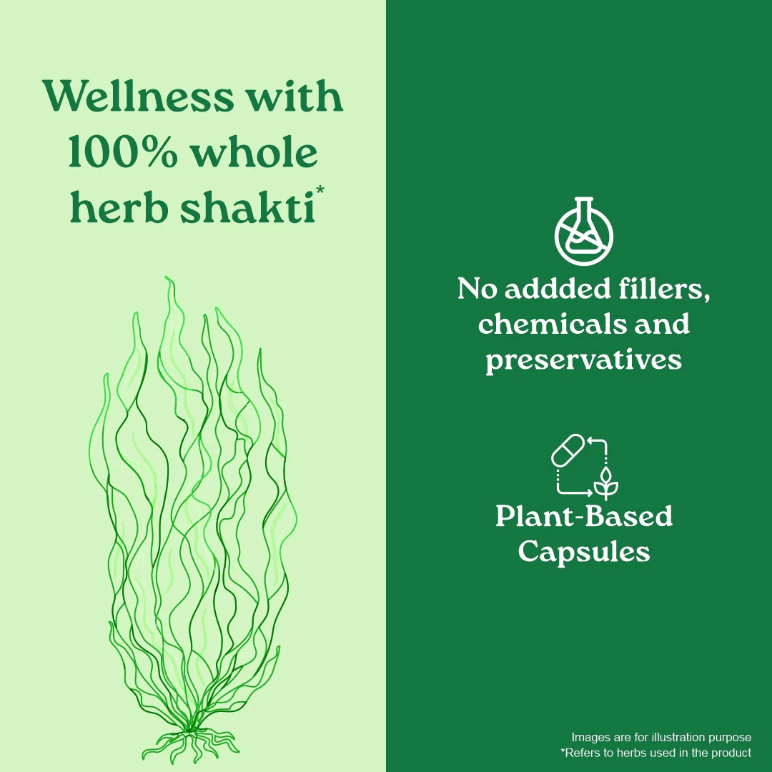 Spirulina Tablets - Image 7