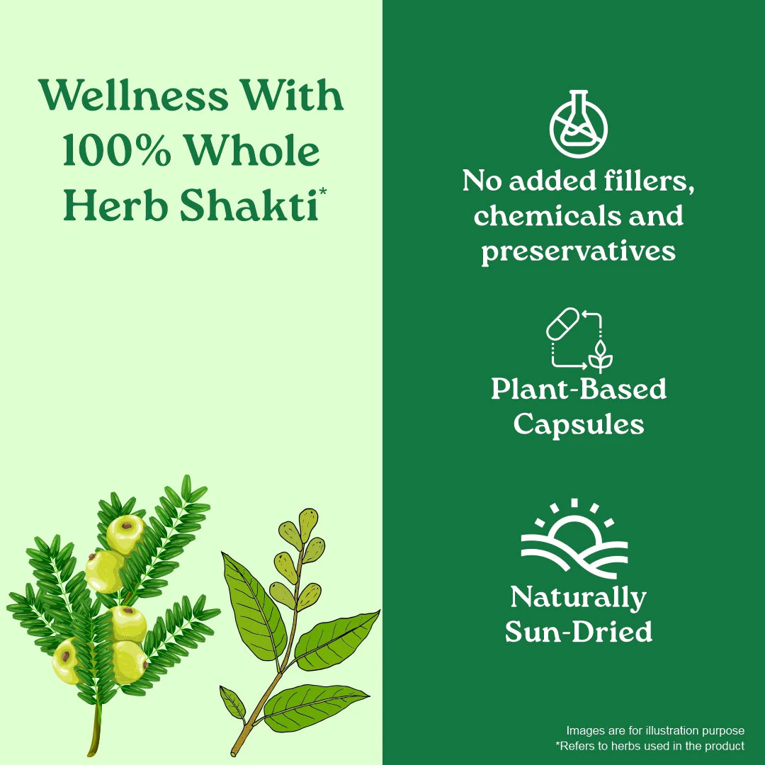 Triphala Capsules - Image 10