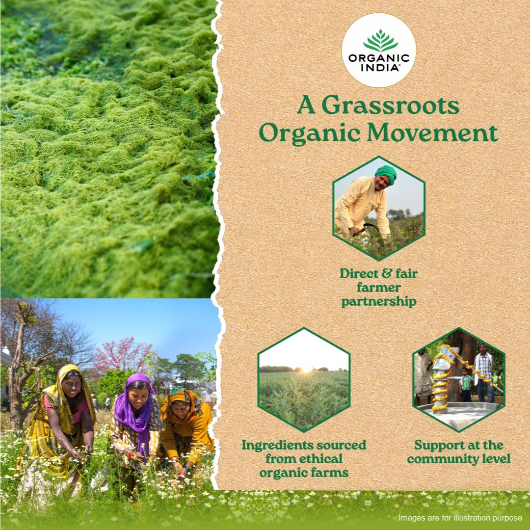Wheatgrass Powder - Image 6