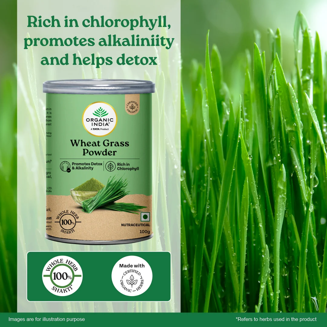 Wheatgrass Powder - Image 7