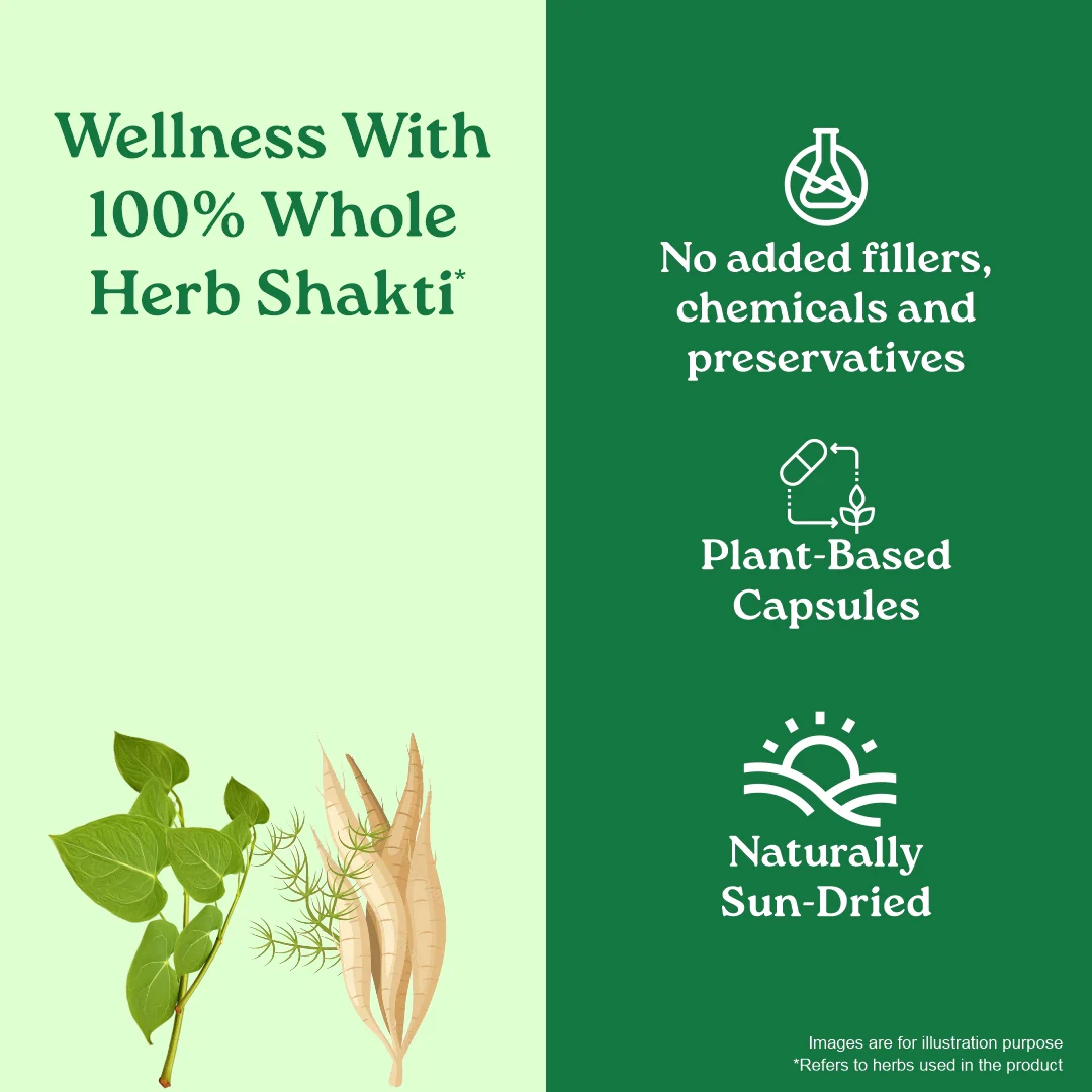 Women's Well-Being Capsules - Image 14